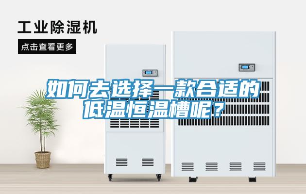 如何去选择一款合适的低温恒温槽呢？