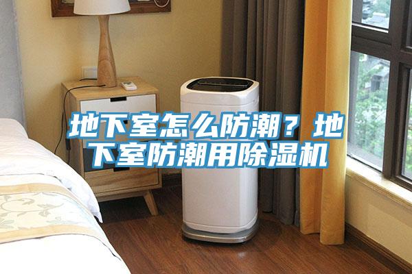 地下室怎么防潮？地下室防潮用91免费网站在线观看