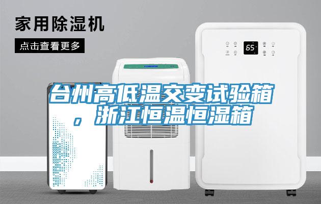台州高低温交变试验箱，浙江恒温恒湿箱