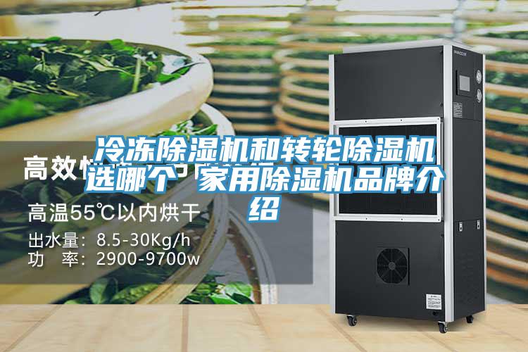 冷冻91免费网站在线观看和转轮91免费网站在线观看选哪个 家用91免费网站在线观看品牌介绍