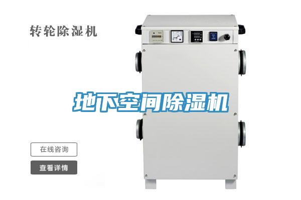 地下空间91免费网站在线观看