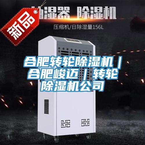 合肥转轮91免费网站在线观看｜合肥峻迈｜转轮91免费网站在线观看公司