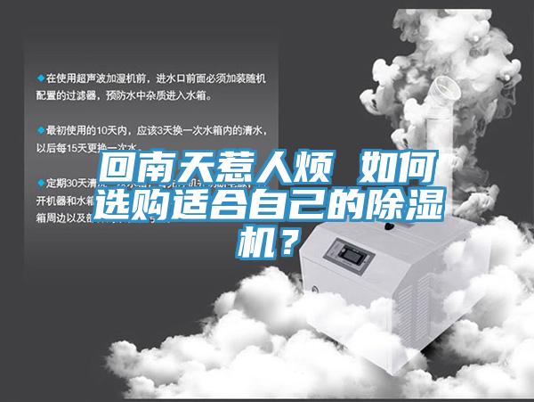 回南天惹人烦 如何选购适合自己的91免费网站在线观看？
