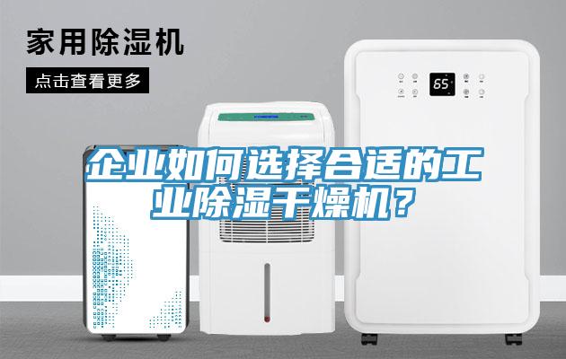 企业如何选择合适的工业除湿干燥机？