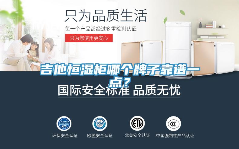 吉他恒湿柜哪个牌子靠谱一点？