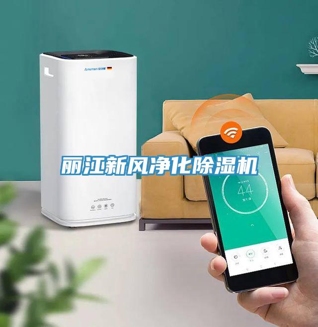 丽江新风净化91免费网站在线观看