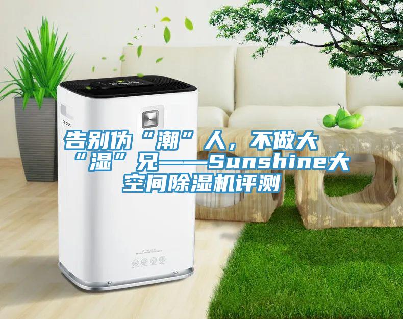 告别伪“潮”人，不做大“湿”兄——Sunshine大空间91免费网站在线观看评测