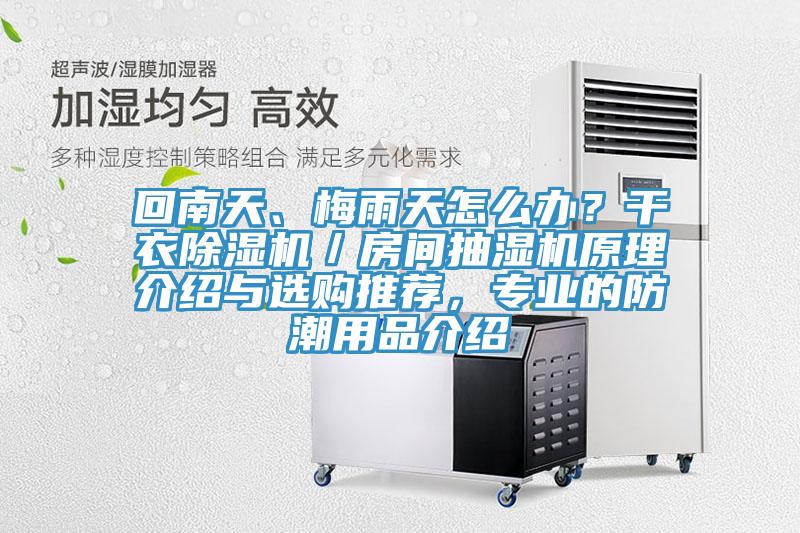 回南天、梅雨天怎么办？干衣91免费网站在线观看／房间抽湿机原理介绍与选购推荐，专业的防潮用品介绍