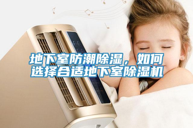地下室防潮除湿，如何选择合适地下室91免费网站在线观看