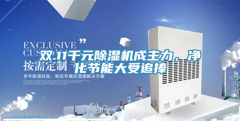 双.11千元91免费网站在线观看成主力，净化节能大受追捧