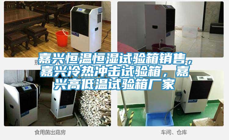 嘉兴恒温恒湿试验箱销售，嘉兴冷热冲击试验箱，嘉兴高低温试验箱厂家