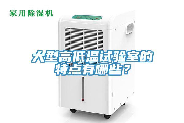 大型高低温试验室的特点有哪些？