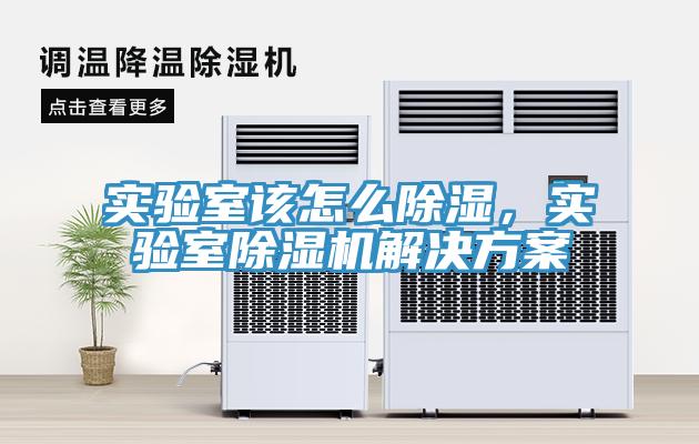 实验室该怎么除湿，实验室91免费网站在线观看解决方案