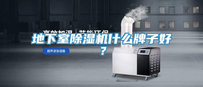 地下室91免费网站在线观看什么牌子好？