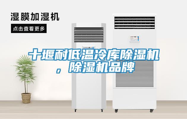 十堰耐低温冷库91免费网站在线观看，91免费网站在线观看品牌