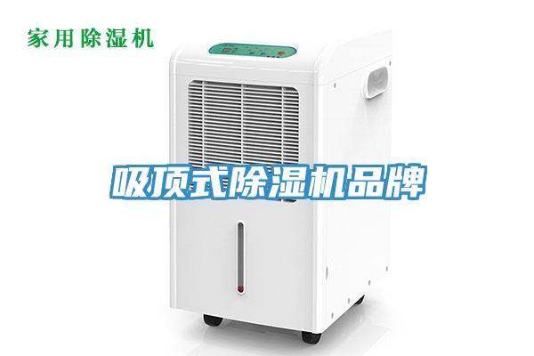 吸顶式91免费网站在线观看品牌