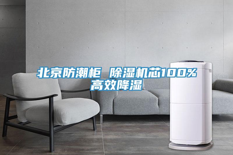 北京防潮柜 91免费网站在线观看芯100%高效降湿