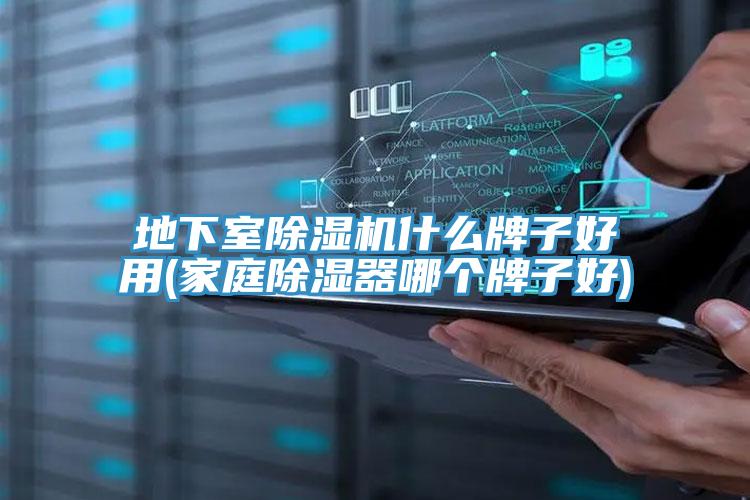 地下室91免费网站在线观看什么牌子好用(家庭除湿器哪个牌子好)