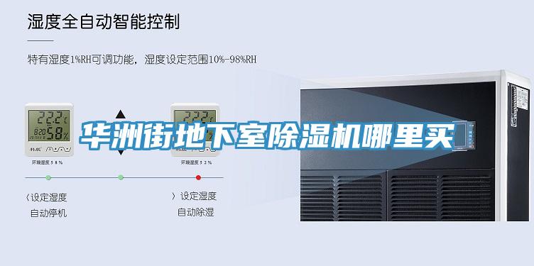 华洲街地下室91免费网站在线观看哪里买
