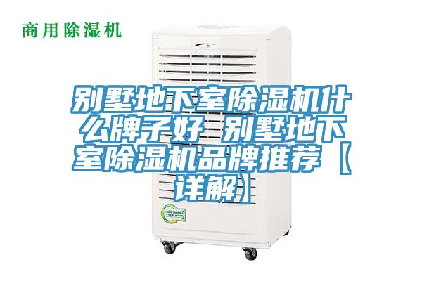 别墅地下室91免费网站在线观看什么牌子好 别墅地下室91免费网站在线观看品牌推荐【详解】