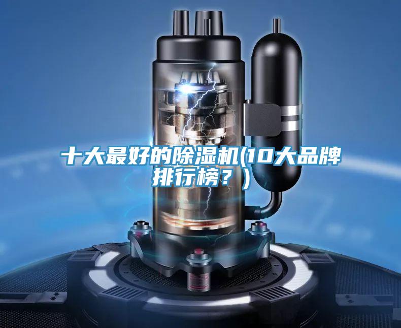 十大最好的91免费网站在线观看(10大品牌排行榜？)