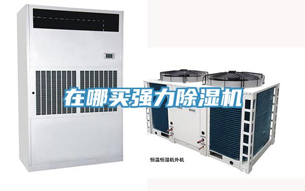 在哪买强力91免费网站在线观看