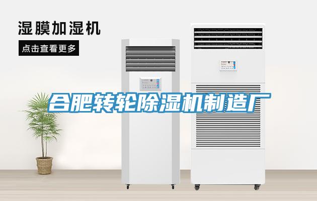 合肥转轮91免费网站在线观看制造厂