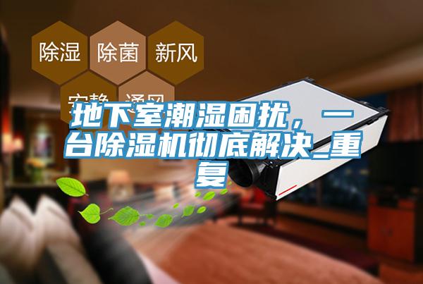 地下室潮湿困扰，一台91免费网站在线观看彻底解决_重复