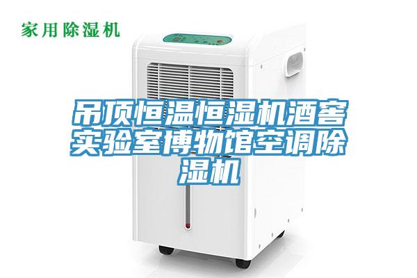 吊顶恒温恒湿机酒窖实验室博物馆空调91免费网站在线观看
