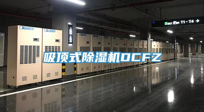 吸顶式91免费网站在线观看DCFZ