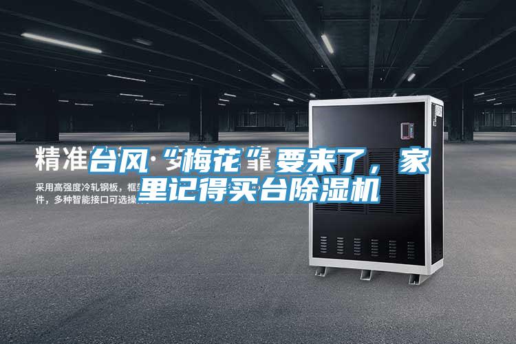 台风“梅花”要来了，家里记得买台91免费网站在线观看