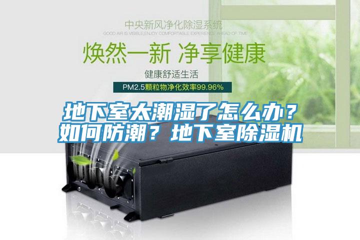 地下室太潮湿了怎么办？如何防潮？地下室91免费网站在线观看