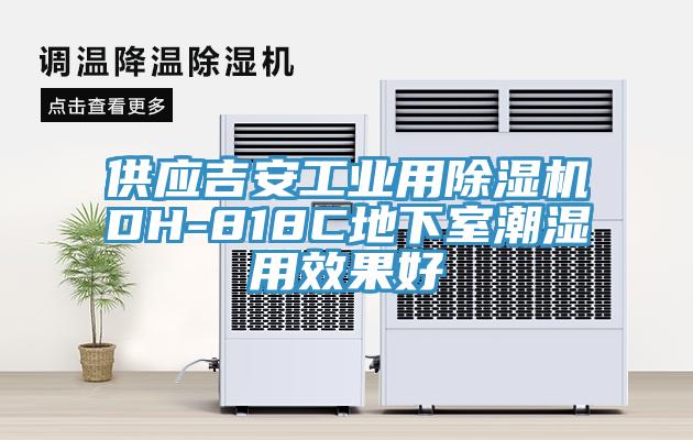 供应吉安工业用91免费网站在线观看DH-818C地下室潮湿用效果好