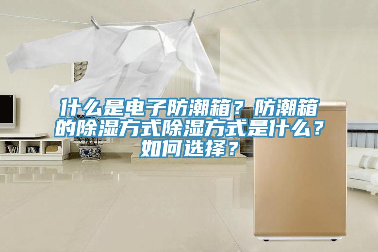什么是电子防潮箱？防潮箱的除湿方式除湿方式是什么？如何选择？