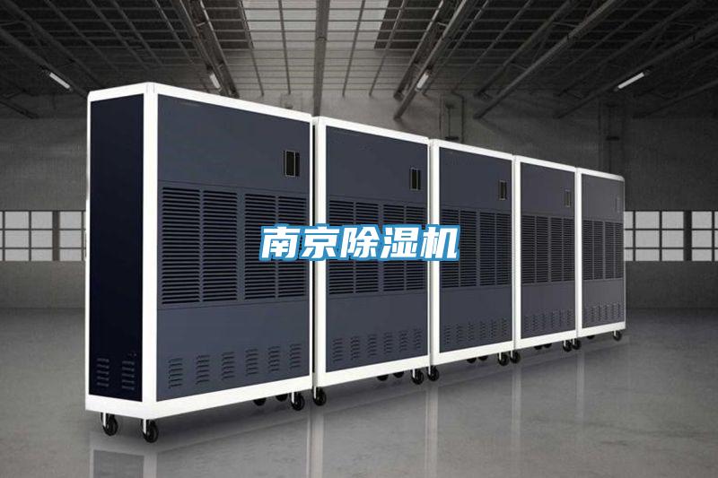 南京91免费网站在线观看