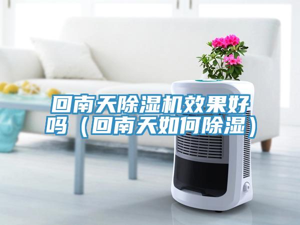 回南天91免费网站在线观看效果好吗（回南天如何除湿）