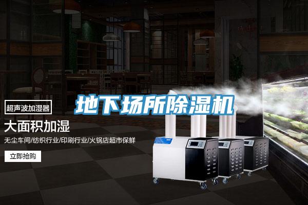 地下场所91免费网站在线观看