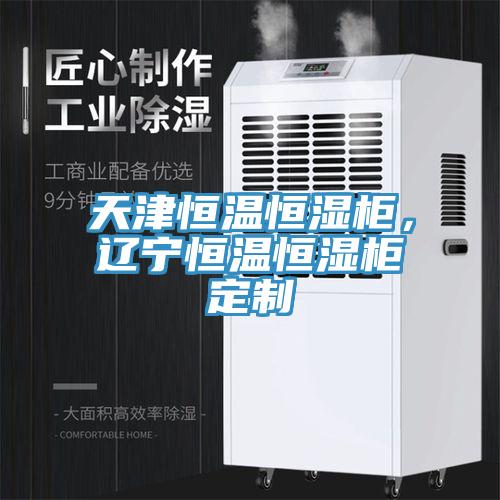 天津恒温恒湿柜，辽宁恒温恒湿柜定制