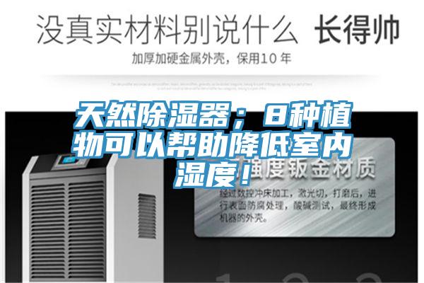 天然除湿器；8种植物可以帮助降低室内湿度！