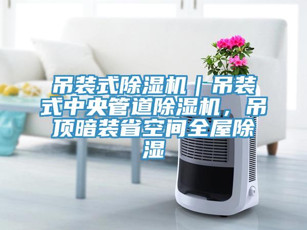 吊装式91免费网站在线观看｜吊装式中央管道91免费网站在线观看，吊顶暗装省空间全屋除湿
