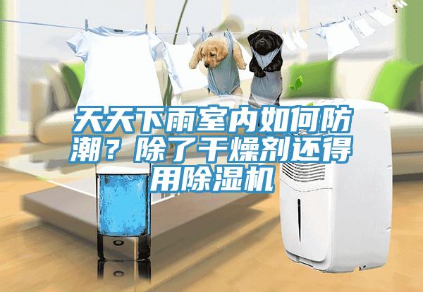 天天下雨室内如何防潮？除了干燥剂还得用91免费网站在线观看