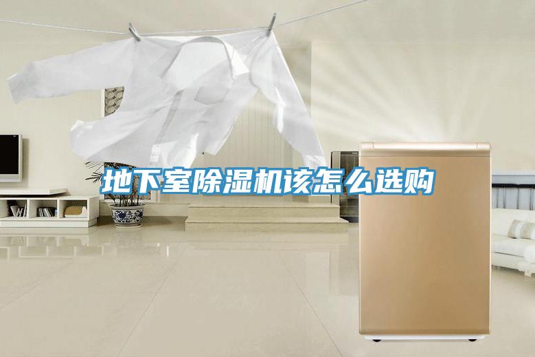 地下室91免费网站在线观看该怎么选购