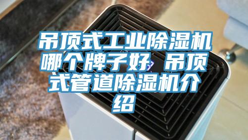 吊顶式工业91免费网站在线观看哪个牌子好 吊顶式管道91免费网站在线观看介绍