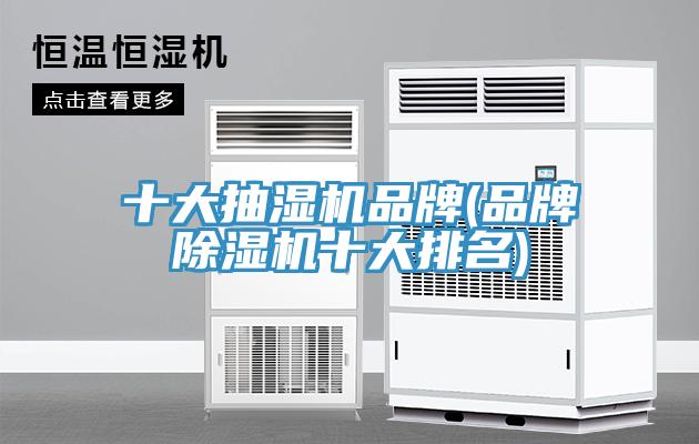 十大抽湿机品牌(品牌91免费网站在线观看十大排名)