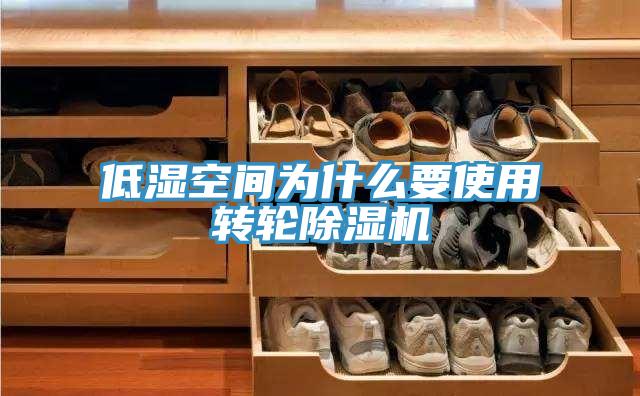 低湿空间为什么要使用转轮91免费网站在线观看