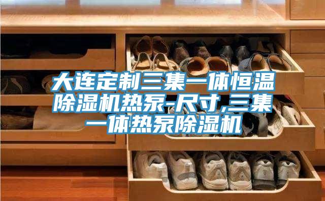大连定制三集一体恒温91免费网站在线观看热泵-尺寸,三集一体热泵91免费网站在线观看