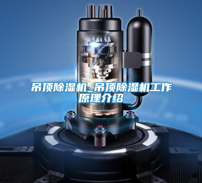 吊顶91免费网站在线观看_吊顶91免费网站在线观看工作原理介绍