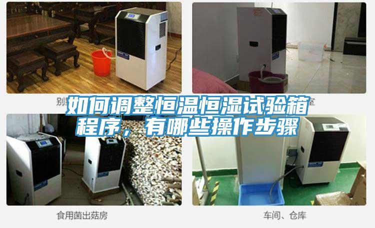 如何调整恒温恒湿试验箱程序，有哪些操作步骤