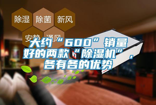 大约“600”销量好的两款“91免费网站在线观看”，各有各的优势