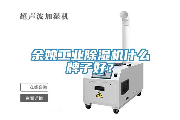 余姚工业91免费网站在线观看什么牌子好？